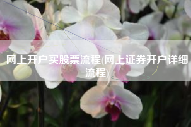 网上开户买股票流程(网上证券开户详细流程)
