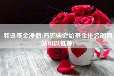 和讯基金净值(有哪些会给基金排名的网站可以推荐)