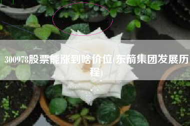 300978股票能涨到啥价位(东箭集团发展历程)