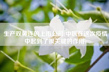 生产双黄连的上市公司(中医在这次疫情中起到了很关键的作用)