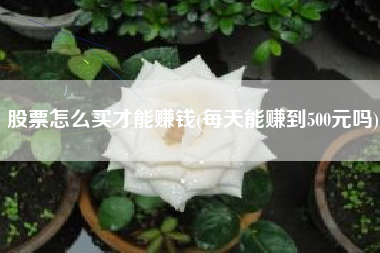 股票怎么买才能赚钱(每天能赚到500元吗)