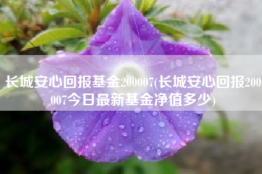 长城安心回报基金200007(长城安心回报200007今日最新基金净值多少)