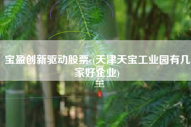 宝盈创新驱动股票c(天津天宝工业园有几家好企业)