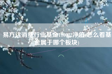易方达消费行业基金110022净值(怎么看基金属于哪个板块)