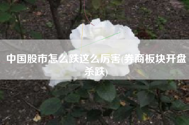 中国股市怎么跌这么厉害(券商板块开盘杀跌)