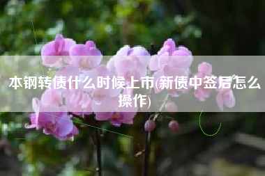 本钢转债什么时候上市(新债中签后怎么操作)
