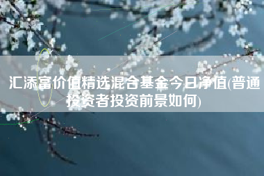 汇添富价值精选混合基金今日净值(普通投资者投资前景如何)
