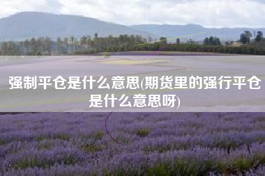 强制平仓是什么意思(期货里的强行平仓是什么意思呀)