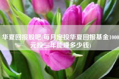 华夏回报股吧(每月定投华夏回报基金1000元投三年能赚多少钱)