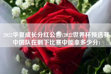2022华夏成长分红公告(2022世界杯预选赛中国队在剩下比赛中能拿多少分)