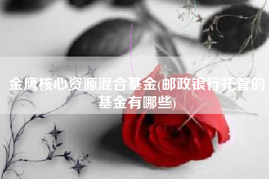 金鹰核心资源混合基金(邮政银行托管的基金有哪些)