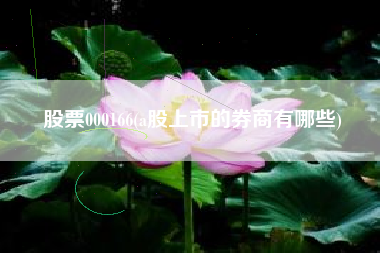 股票000166(a股上市的券商有哪些)
