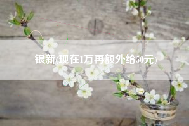 银新(现在1万再额外给50元)