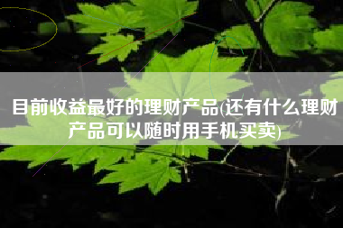 目前收益最好的理财产品(还有什么理财产品可以随时用手机买卖)
