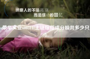 荣华实业600311(上证综指成分股共多少只)