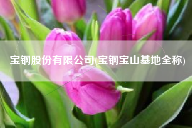 宝钢股份有限公司(宝钢宝山基地全称)