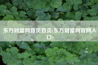 东方财富网首页首页(东方财富网官网入口)