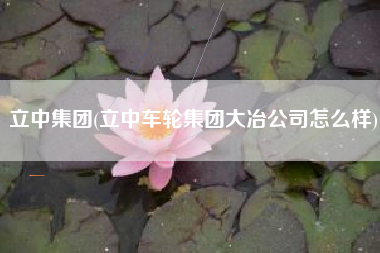 立中集团(立中车轮集团大冶公司怎么样)