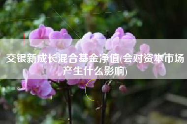 交银新成长混合基金净值(会对资本市场产生什么影响)