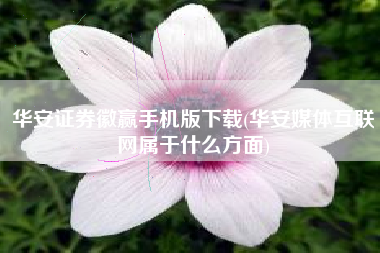 华安证券徽赢手机版下载(华安媒体互联网属于什么方面)