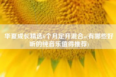 华夏成长精选6个月定开混合a(有哪些好听的纯音乐值得推荐)