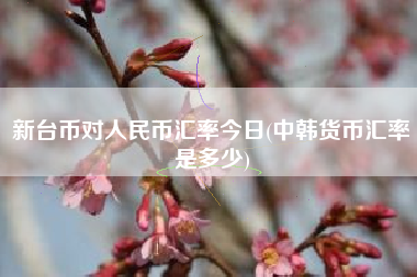 新台币对人民币汇率今日(中韩货币汇率是多少)