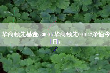 华商领先基金630001(华商领先001042净值今日)