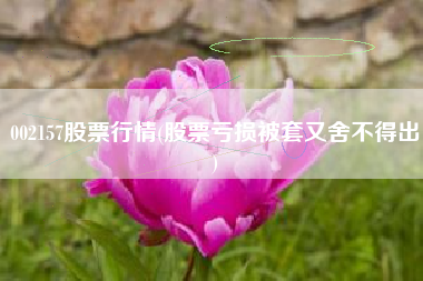002157股票行情(股票亏损被套又舍不得出)