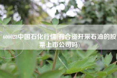 600028中国石化行情(有合资开采石油的股票上市公司吗)