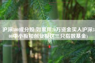 沪深300成分股(如果用20万资金买入沪深300中小板和创业板这三只指数基金)