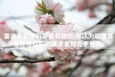 董承非管理的基金有哪些(你认为明星基金经理自购的基金表现会更好吗)