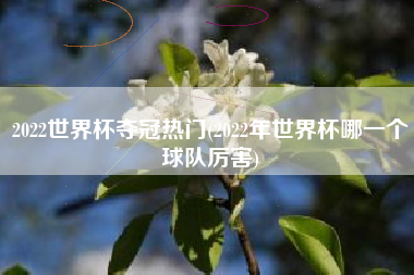 2022世界杯夺冠热门(2022年世界杯哪一个球队厉害)
