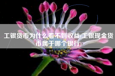 工银货币为什么看不到收益(工银现金货币属于哪个银行)