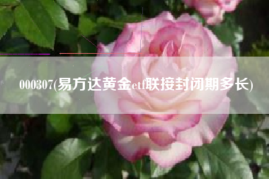 000307(易方达黄金etf联接封闭期多长)