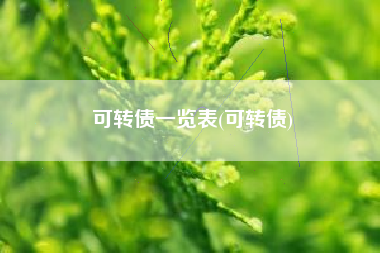 可转债一览表(可转债)