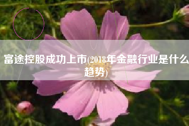 富途控股成功上市(2018年金融行业是什么趋势)