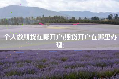 个人做期货在哪开户(期货开户在哪里办理)
