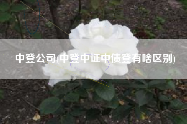 中登公司(中登中证中债登有啥区别)