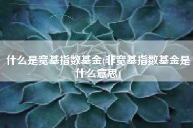 什么是宽基指数基金(非宽基指数基金是什么意思)