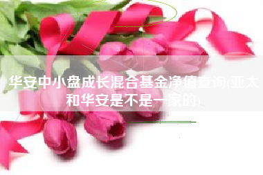 华安中小盘成长混合基金净值查询(亚太和华安是不是一家的)