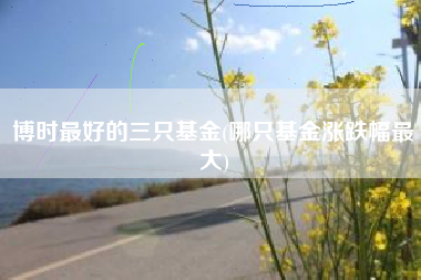 博时最好的三只基金(哪只基金涨跌幅最大)