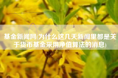 基金新闻网(为什么这几天新闻里都是关于货币基金采用净值算法的消息)