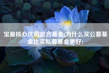 宝盈核心优势混合基金(为什么买公募基金比买私募基金更好)