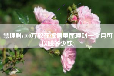 慧理财(100万放在微信里面理财一个月可以赚多少钱)