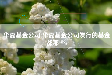 华夏基金公司(华夏基金公司发行的基金都那些)