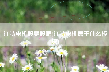 江特电机股票股吧(江特电机属于什么板块)