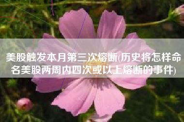美股触发本月第三次熔断(历史将怎样命名美股两周内四次或以上熔断的事件)