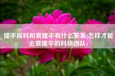 详细阅读:隆平高科和袁隆平有什么关系(怎样才能去袁隆平的科研团队) 隆平高科和袁隆平有什么关系(怎样才能去袁隆平的科研团队)