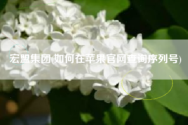 宏盟集团(如何在苹果官网查询序列号)