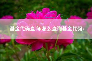 基金代码查询(怎么查询基金代码)